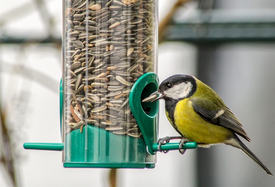 vogelhuisje winterklaar