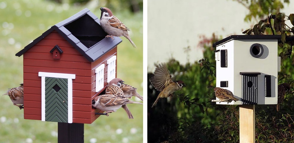 bewaker Mechanisch Harmonisch Vogelhuisje op paal kopen? (TIP) - Vogelhuisjes-kopen